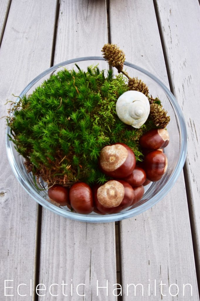 Herbstdeko aus dem Wald. Mit natürlichen Materialien dekorien Dekoration, Herbst, Kastanien, Moos, Lärche, Buchecker,