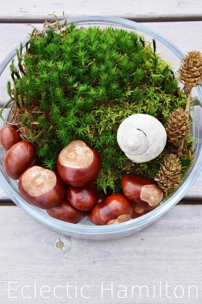 Herbstdeko aus dem Wald. Mit natürlichen Materialien dekorien Dekoration, Herbst, Kastanien, Moos, Lärche, Buchecker,