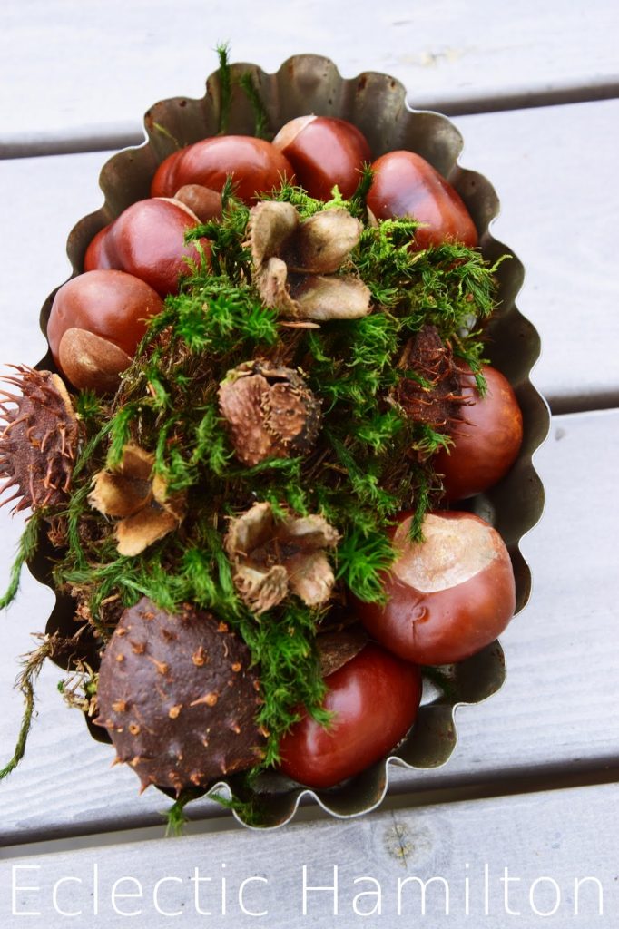 Herbstdeko aus dem Wald. Mit natürlichen Materialien dekorien Dekoration, Herbst, Kastanien, Moos, Lärche, Buchecker,