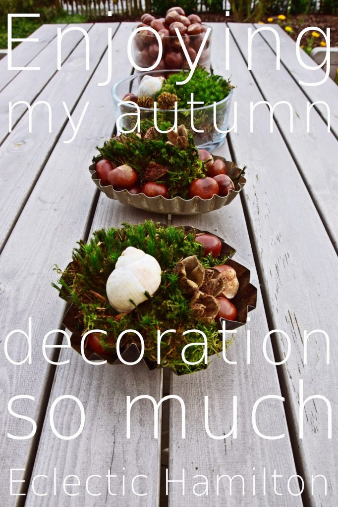 Herbstdeko aus dem Wald. Mit natürlichen Materialien dekorien Dekoration, Herbst, Kastanien, Moos, Lärche, Buchecker,