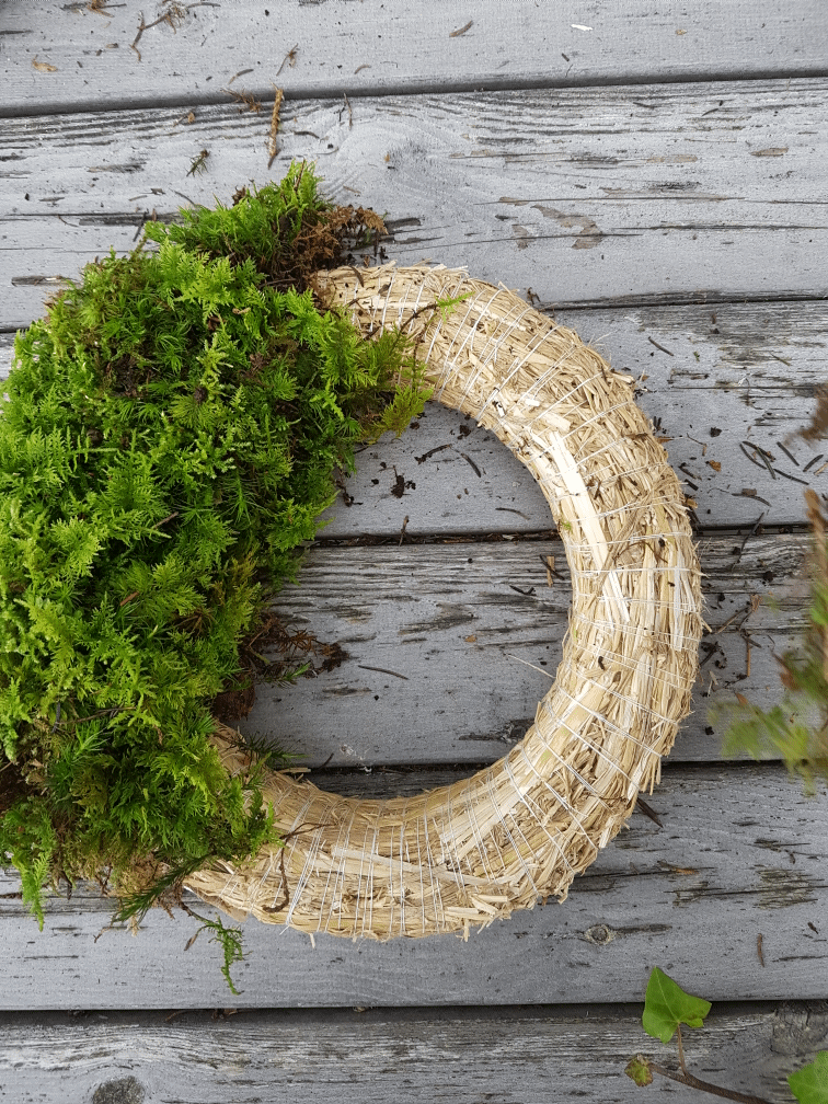 DIY Mooskranz einfach selbstgemacht: Herbstdeko, Deko für den Herbst, Kranz, Kränze selbermachen, Kranz aus Moos