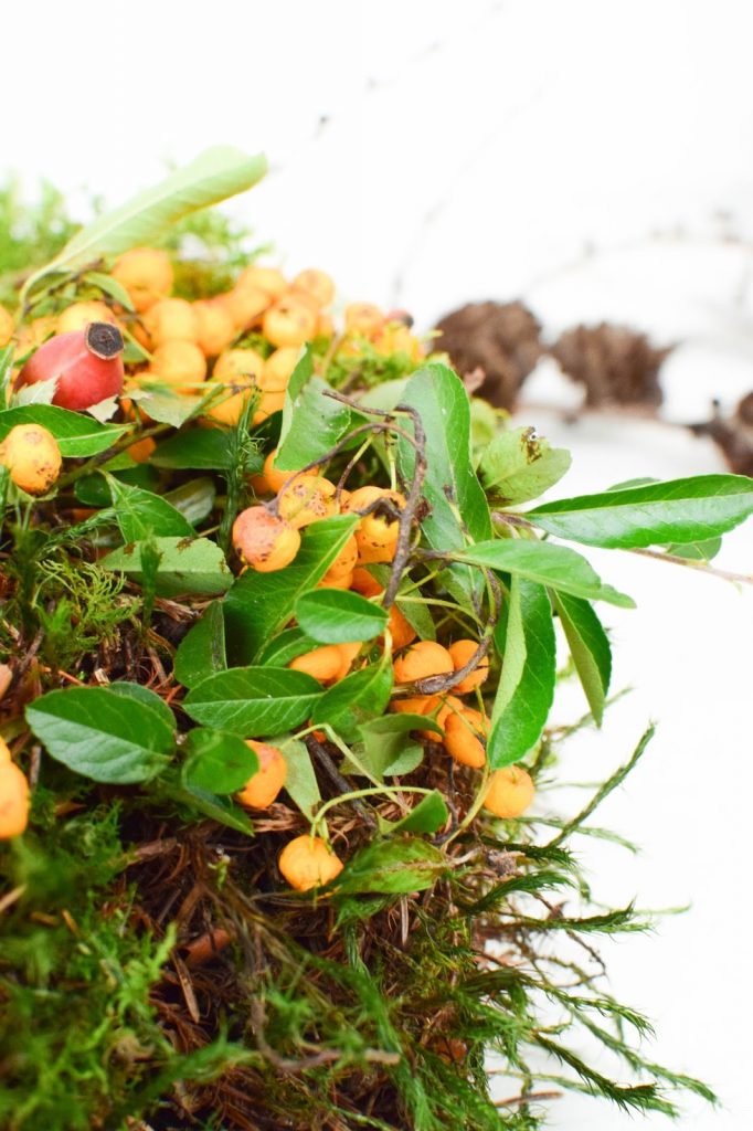 Kranz aus Moos selber machen. DIY Mooskranz einfach und schnell für Herbst und Winter die perfekte Deko