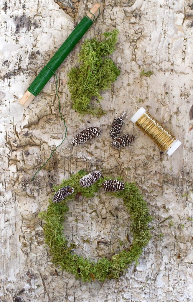DIY Mini Mooskranz einfach selber machen. Selbstgemachter Kranz aus Moos: schnell und natürlich. Deko mit Natur, natürlich dekorieren mit Birke DIY Mini Mooskranz einfach selber machen. Selbstgemachter Kranz aus Moos: schnell und natürlich. Deko mit Natur, natürlich dekorieren mit Birke
