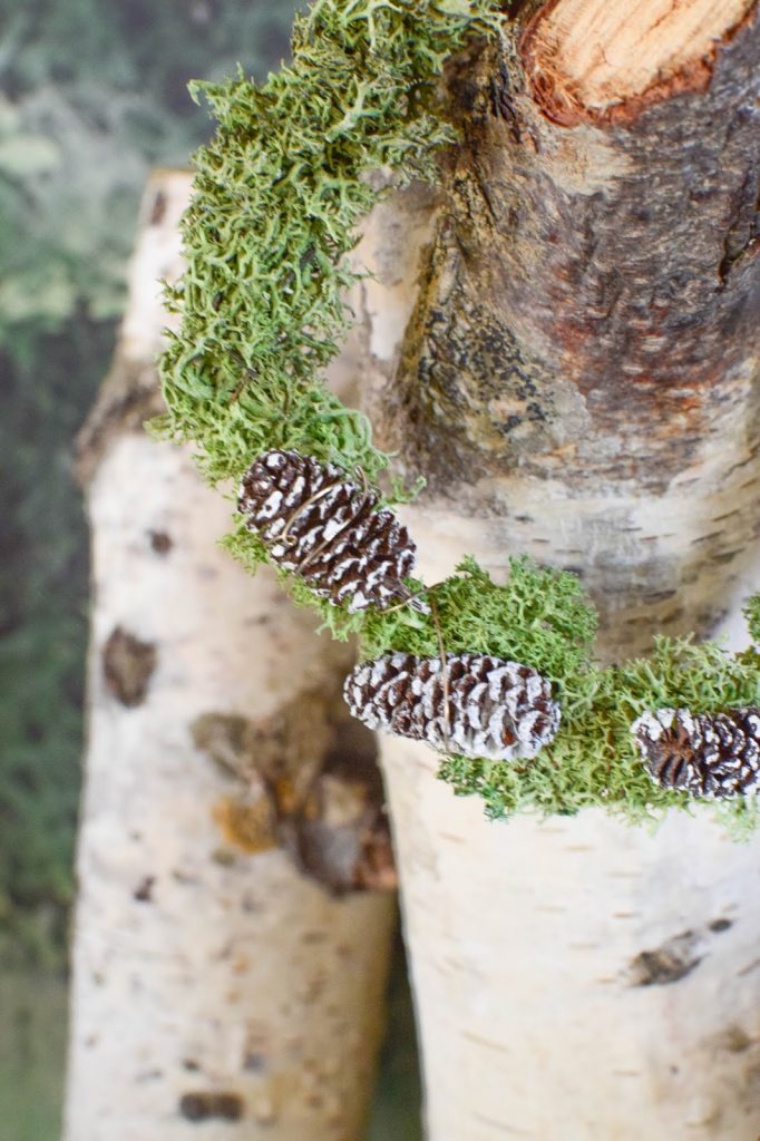 DIY Mini Mooskranz einfach selber machen. Selbstgemachter Kranz aus Moos: schnell und natürlich. Deko mit Natur, natürlich dekorieren mit Birke DIY Mini Mooskranz einfach selber machen. Selbstgemachter Kranz aus Moos: schnell und natürlich. Deko mit Natur, natürlich dekorieren mit Birke