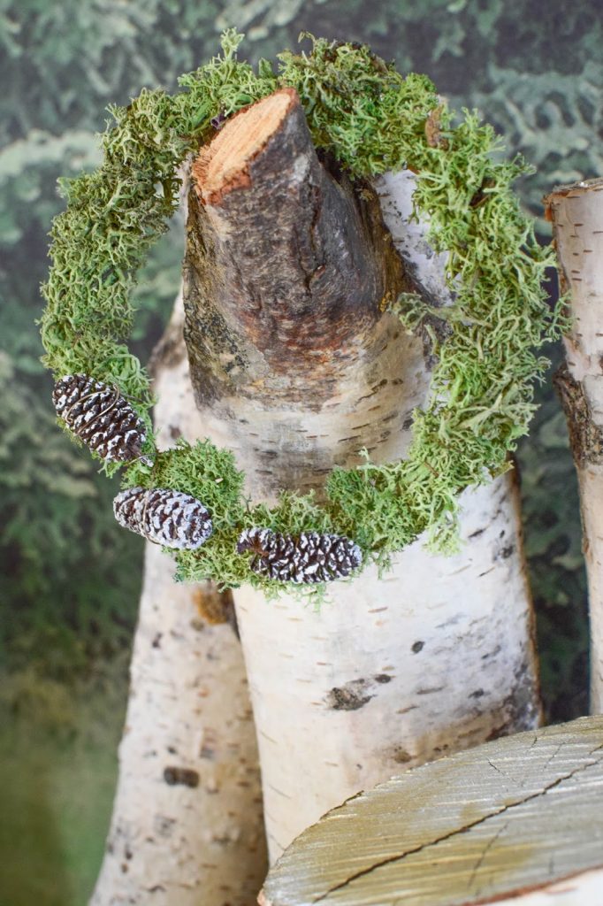 DIY Mini Mooskranz einfach selber machen. Selbstgemachter Kranz aus Moos: schnell und natürlich. Deko mit Natur, natürlich dekorieren mit Birke DIY Mini Mooskranz einfach selber machen. Selbstgemachter Kranz aus Moos: schnell und natürlich. Deko mit Natur, natürlich dekorieren mit Birke