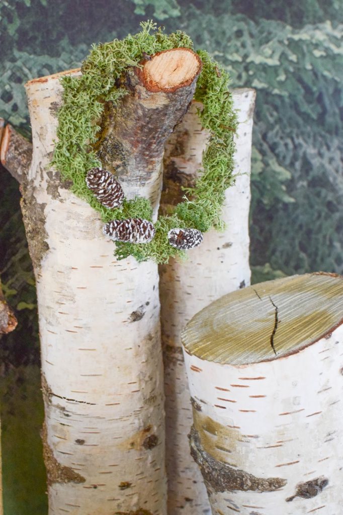 DIY Mini Mooskranz einfach selber machen. Selbstgemachter Kranz aus Moos: schnell und natürlich. Deko mit Natur, natürlich dekorieren mit Birke DIY Mini Mooskranz einfach selber machen. Selbstgemachter Kranz aus Moos: schnell und natürlich. Deko mit Natur, natürlich dekorieren mit Birke