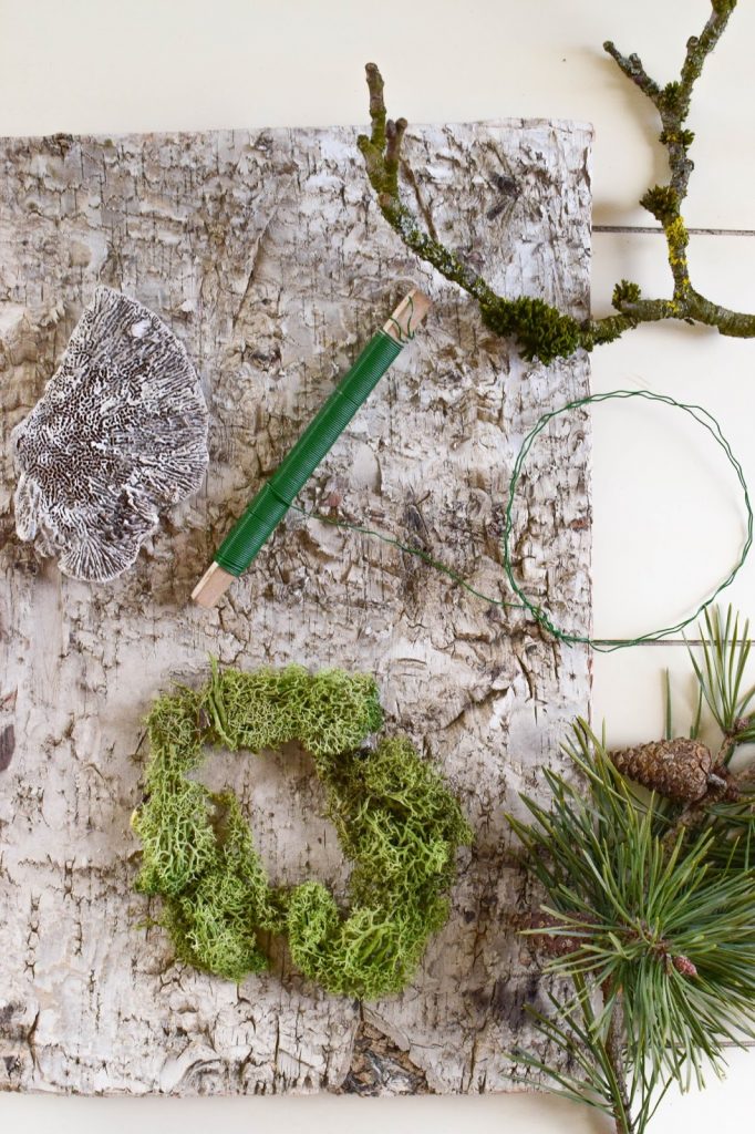 DIY Mini Mooskranz einfach selber machen. Selbstgemachter Kranz aus Moos: schnell und natürlich. Deko mit Natur, natürlich dekorieren mit Birke DIY Mini Mooskranz einfach selber machen. Selbstgemachter Kranz aus Moos: schnell und natürlich. Deko mit Natur, natürlich dekorieren mit Birke