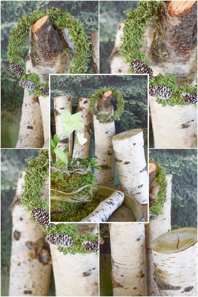 DIY Mini Mooskranz einfach selber machen. Selbstgemachter Kranz aus Moos: schnell und natürlich. Deko mit Natur, natürlich dekorieren mit Birke DIY Mini Mooskranz einfach selber machen. Selbstgemachter Kranz aus Moos: schnell und natürlich. Deko mit Natur, natürlich dekorieren mit Birke