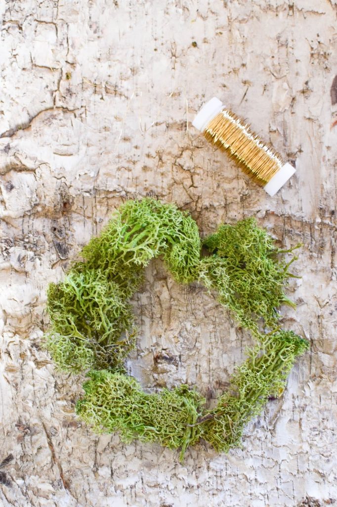DIY Mini Mooskranz einfach selber machen. Selbstgemachter Kranz aus Moos: schnell und natürlich. Deko mit Natur, natürlich dekorieren mit Birke DIY Mini Mooskranz einfach selber machen. Selbstgemachter Kranz aus Moos: schnell und natürlich. Deko mit Natur, natürlich dekorieren mit Birke
