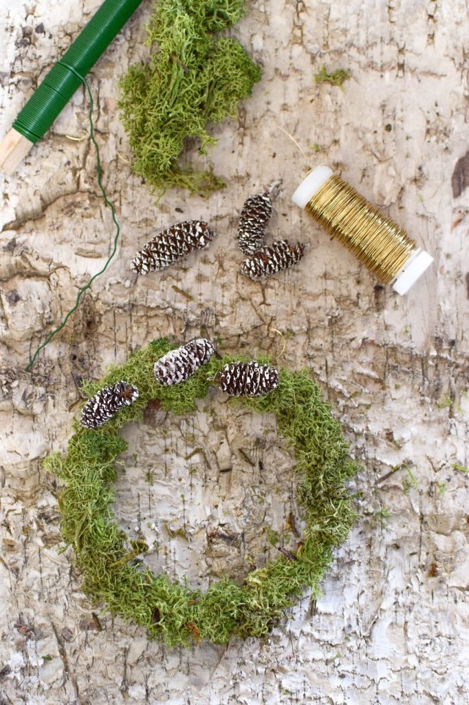 DIY Mini Mooskranz einfach selber machen. Selbstgemachter Kranz aus Moos: schnell und natürlich. Deko mit Natur, natürlich dekorieren mit Birke DIY Mini Mooskranz einfach selber machen. Selbstgemachter Kranz aus Moos: schnell und natürlich. Deko mit Natur, natürlich dekorieren mit Birke