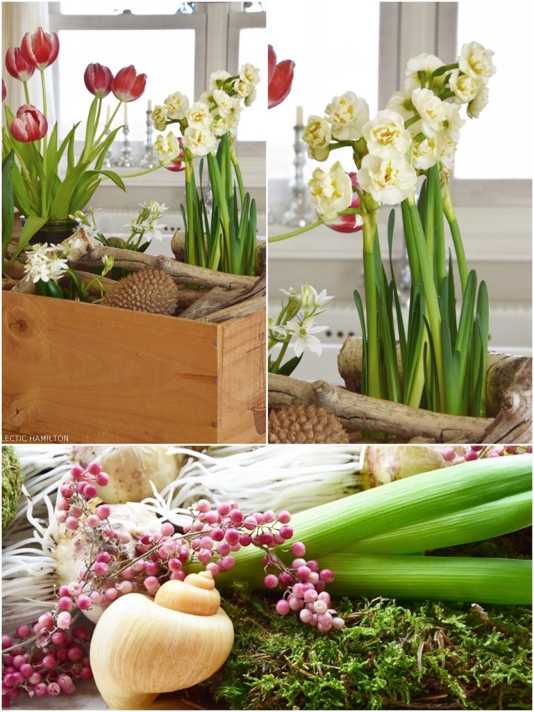 Dekoideen für den Frühling Frühjahr. DIY mit Narzissen, Tulpen, Hyazinthen. Deko mit Natur selber machen. Natürlich dekorieren Dekoideen für den Frühling Frühjahr. DIY mit Narzissen, Tulpen, Hyazinthen. Deko mit Natur selber machen. Natürlich dekorieren