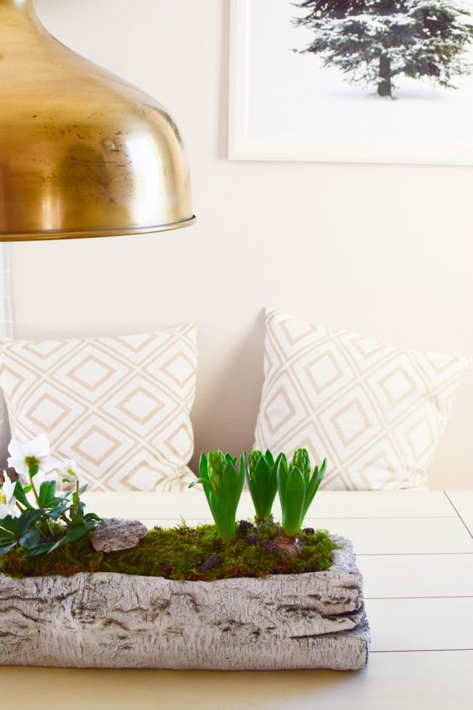DIY Deko Schale für den Frühling mit Christrose, Hyazinthe und Moos. Kreativ Selbermachen Basteln mit Naturmaterialien. Naturdeko einfach, schnell und schön fürs Frühjahr DIY Deko Schale für den Frühling mit Christrose, Hyazinthe und Moos. Kreativ Selbermachen Basteln mit Naturmaterialien. Naturdeko einfach, schnell und schön fürs Frühjahr