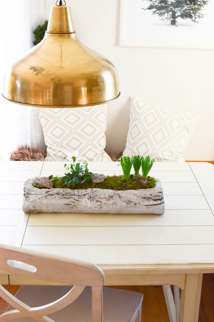 DIY Deko Schale für den Frühling mit Christrose, Hyazinthe und Moos. Kreativ Selbermachen Basteln mit Naturmaterialien. Naturdeko einfach, schnell und schön fürs Frühjahr DIY Deko Schale für den Frühling mit Christrose, Hyazinthe und Moos. Kreativ Selbermachen Basteln mit Naturmaterialien. Naturdeko einfach, schnell und schön fürs Frühjahr
