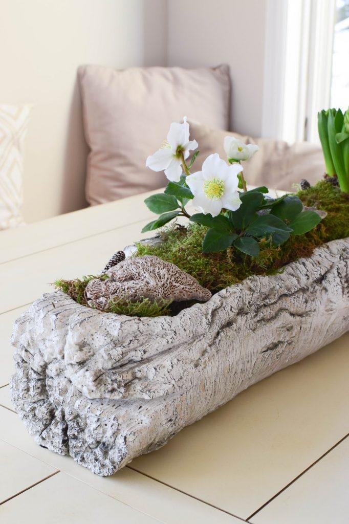 DIY Deko Schale für den Frühling mit Christrose, Hyazinthe und Moos. Kreativ Selbermachen Basteln mit Naturmaterialien. Naturdeko einfach, schnell und schön fürs Frühjahr DIY Deko Schale für den Frühling mit Christrose, Hyazinthe und Moos. Kreativ Selbermachen Basteln mit Naturmaterialien. Naturdeko einfach, schnell und schön fürs Frühjahr