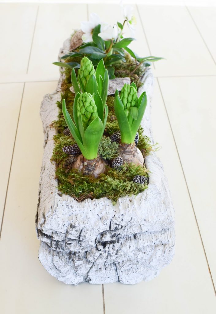 DIY Deko Schale für den Frühling mit Christrose, Hyazinthe und Moos. Kreativ Selbermachen Basteln mit Naturmaterialien. Naturdeko einfach, schnell und schön fürs Frühjahr DIY Deko Schale für den Frühling mit Christrose, Hyazinthe und Moos. Kreativ Selbermachen Basteln mit Naturmaterialien. Naturdeko einfach, schnell und schön fürs Frühjahr