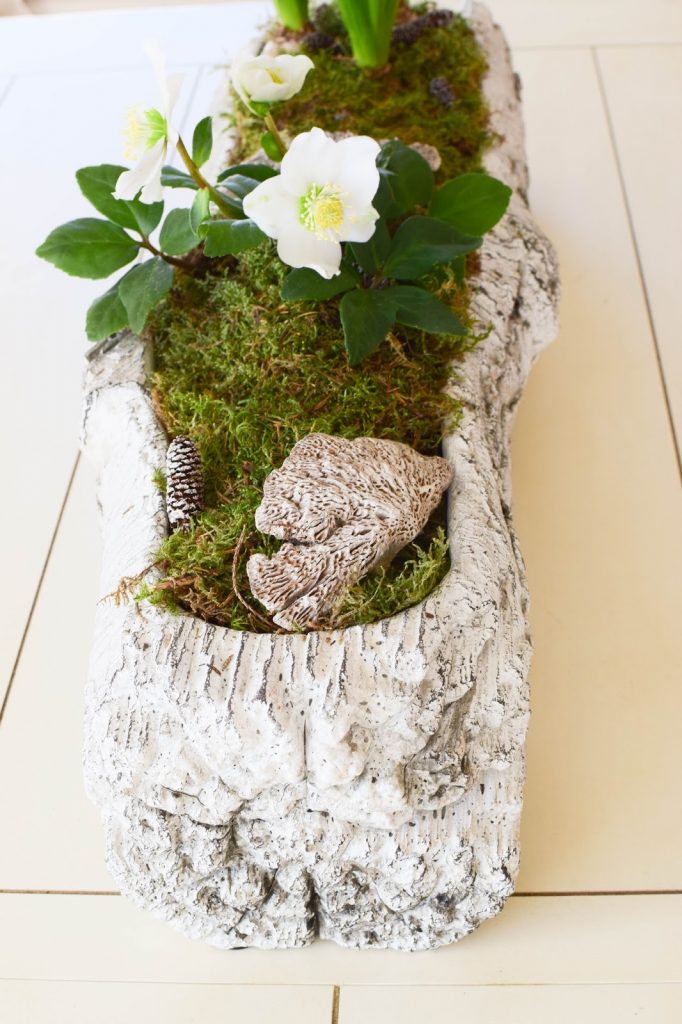 DIY Deko Schale für den Frühling mit Christrose, Hyazinthe und Moos. Kreativ Selbermachen Basteln mit Naturmaterialien. Naturdeko einfach, schnell und schön fürs Frühjahr DIY Deko Schale für den Frühling mit Christrose, Hyazinthe und Moos. Kreativ Selbermachen Basteln mit Naturmaterialien. Naturdeko einfach, schnell und schön fürs Frühjahr