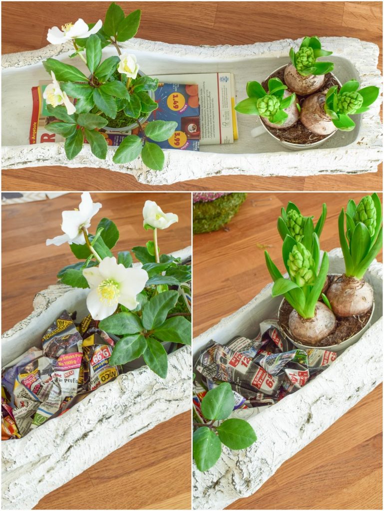 DIY Deko Schale für den Frühling mit Christrose, Hyazinthe und Moos. Kreativ Selbermachen Basteln mit Naturmaterialien. Naturdeko einfach, schnell und schön fürs Frühjahr DIY Deko Schale für den Frühling mit Christrose, Hyazinthe und Moos. Kreativ Selbermachen Basteln mit Naturmaterialien. Naturdeko einfach, schnell und schön fürs Frühjahr