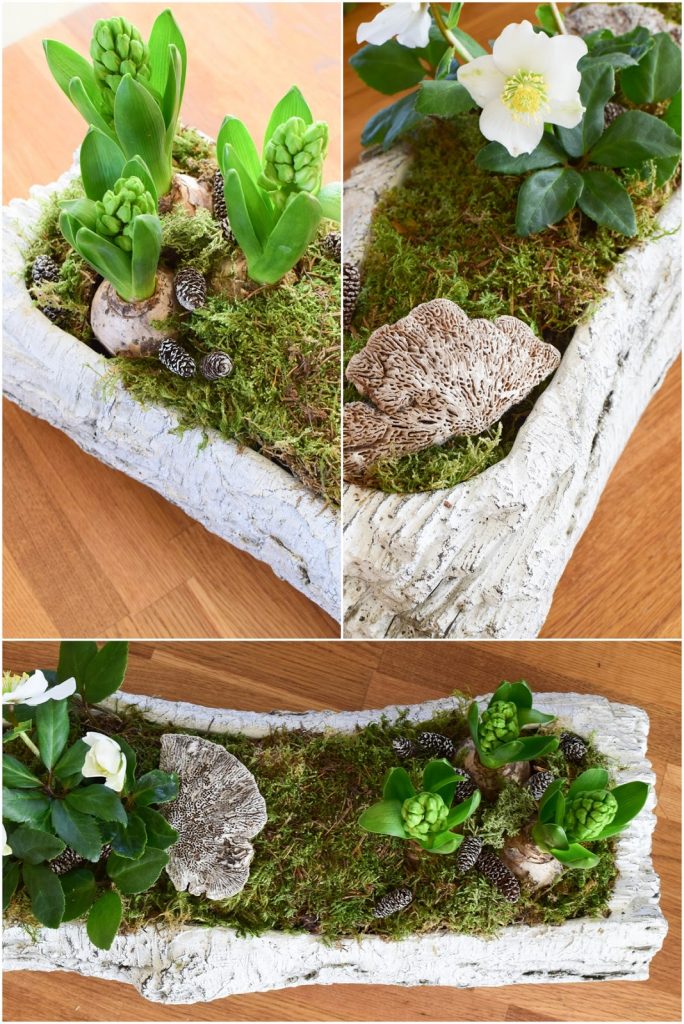 DIY Deko Schale für den Frühling mit Christrose, Hyazinthe und Moos. Kreativ Selbermachen Basteln mit Naturmaterialien. Naturdeko einfach, schnell und schön fürs Frühjahr DIY Deko Schale für den Frühling mit Christrose, Hyazinthe und Moos. Kreativ Selbermachen Basteln mit Naturmaterialien. Naturdeko einfach, schnell und schön fürs Frühjahr