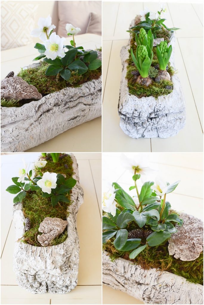 DIY Deko Schale für den Frühling mit Christrose, Hyazinthe und Moos. Kreativ Selbermachen Basteln mit Naturmaterialien. Naturdeko einfach, schnell und schön fürs Frühjahr DIY Deko Schale für den Frühling mit Christrose, Hyazinthe und Moos. Kreativ Selbermachen Basteln mit Naturmaterialien. Naturdeko einfach, schnell und schön fürs Frühjahr