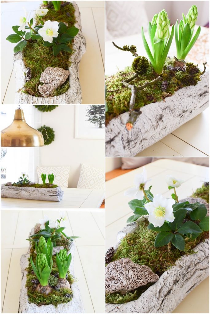 DIY Deko Schale für den Frühling mit Christrose, Hyazinthe und Moos. Kreativ Selbermachen Basteln mit Naturmaterialien. Naturdeko einfach, schnell und schön fürs Frühjahr DIY Deko Schale für den Frühling mit Christrose, Hyazinthe und Moos. Kreativ Selbermachen Basteln mit Naturmaterialien. Naturdeko einfach, schnell und schön fürs Frühjahr