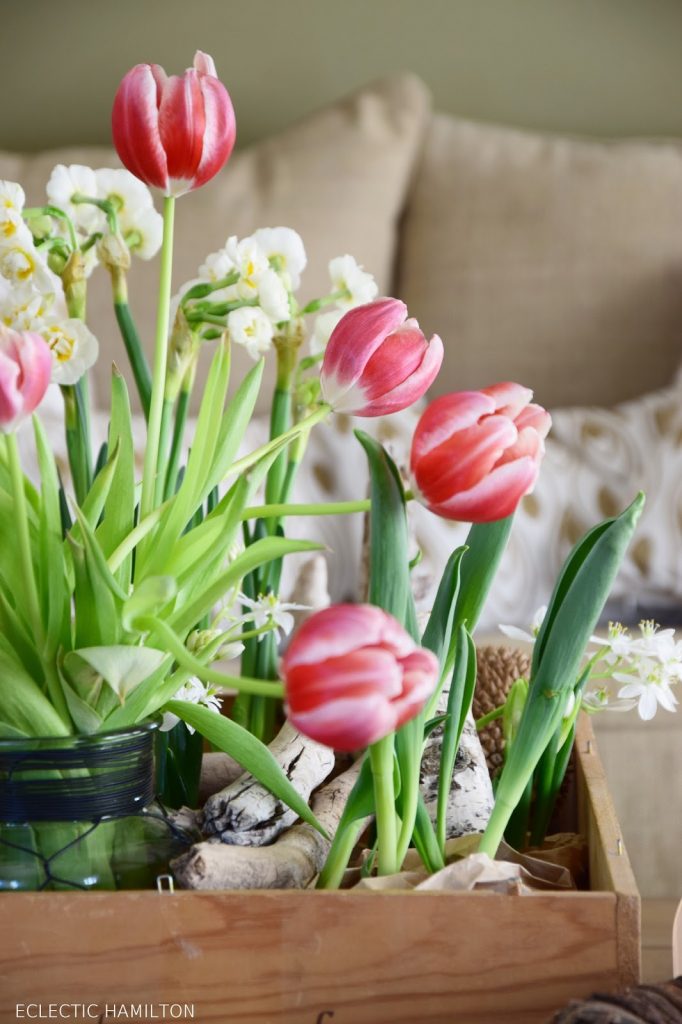 Dekoideen für den Frühling Frühjahr. DIY mit Narzissen, Tulpen, Hyazinthen. Deko mit Natur selber machen. Natürlich dekorieren Dekoideen für den Frühling Frühjahr. DIY mit Narzissen, Tulpen, Hyazinthen. Deko mit Natur selber machen. Natürlich dekorieren