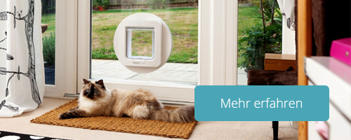 Testbericht Katzenklappe von SureFlap. So kommt eure Katze sicher ins Haus und ihr überwacht alle Aktivitäten per Smartphone. #surepetcare #SureFlapconnect #Anzeige Testbericht Katzenklappe von SureFlap. So kommt eure Katze sicher ins Haus und ihr überwacht alle Aktivitäten per Smartphone. #surepetcare #SureFlapconnect #Anzeige