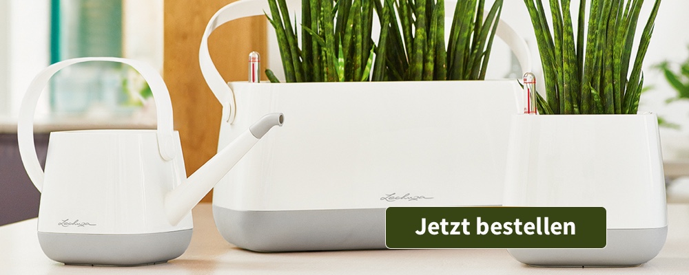https://link.blogfoster.com/BkFVRzsUG