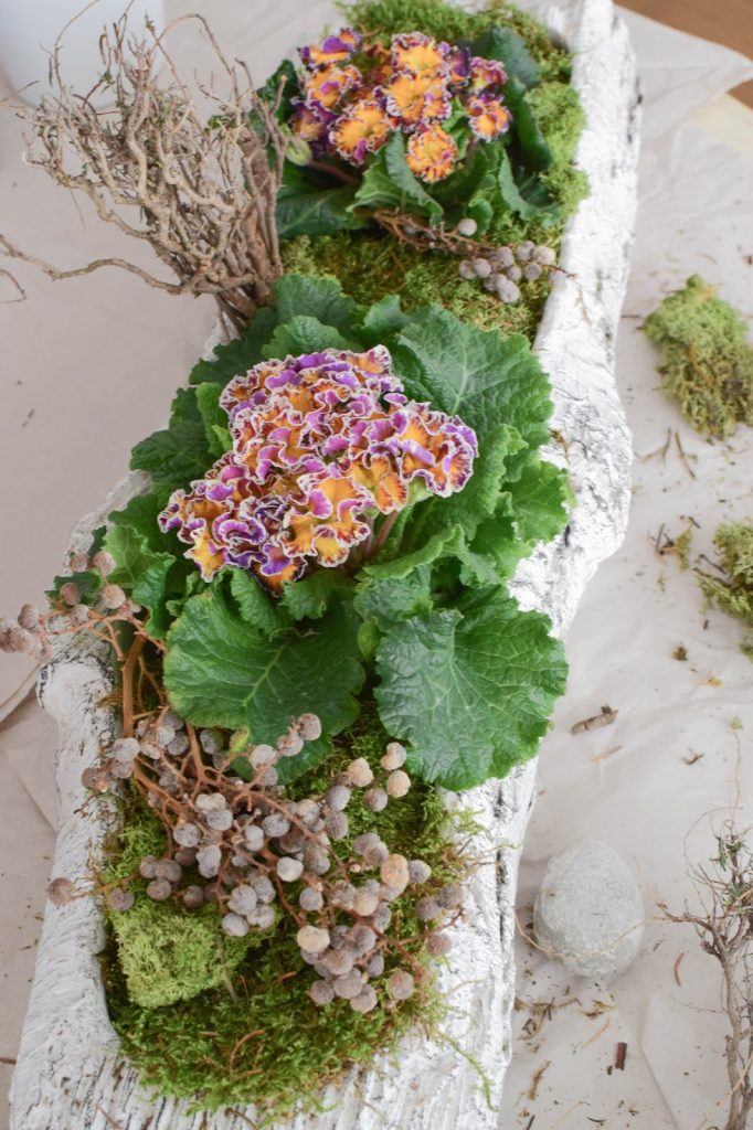 DIY Frühlingsdeko mit Primel und Moos. Natürliche Deko für den Frühling. Dekoidee DIY Frühlingsdeko mit Primel und Moos. Natürliche Deko für den Frühling. Dekoidee