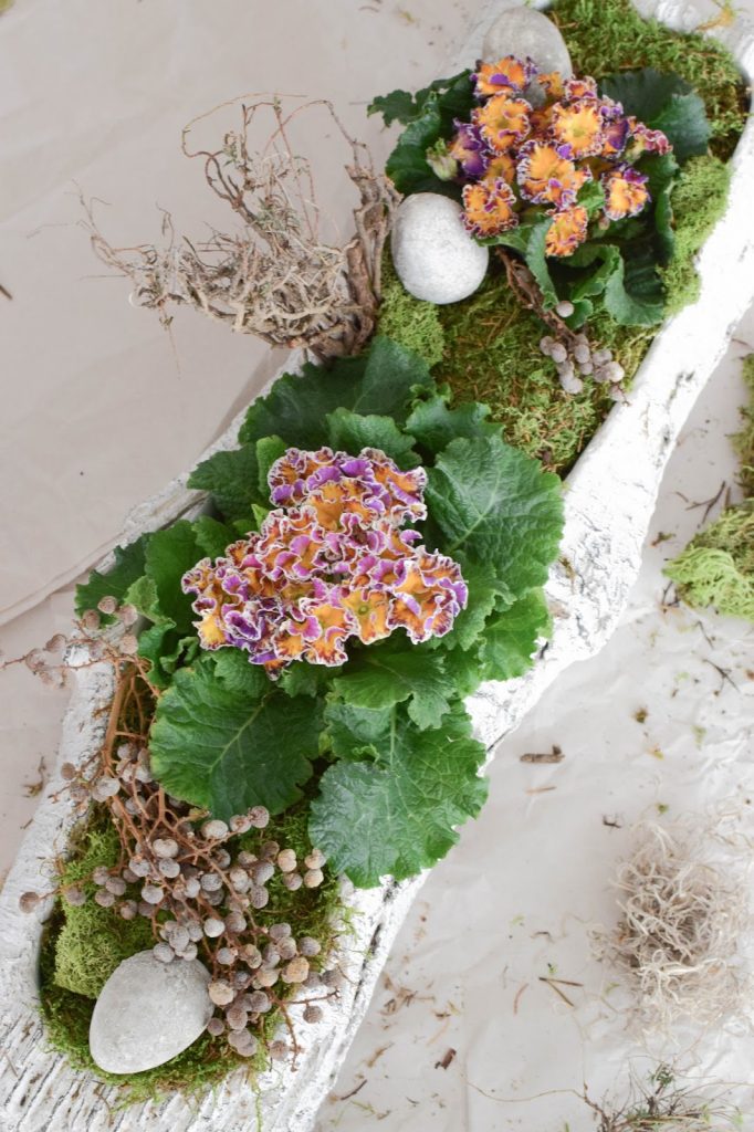 DIY Frühlingsdeko mit Primel und Moos. Natürliche Deko für den Frühling. Dekoidee DIY Frühlingsdeko mit Primel und Moos. Natürliche Deko für den Frühling. Dekoidee