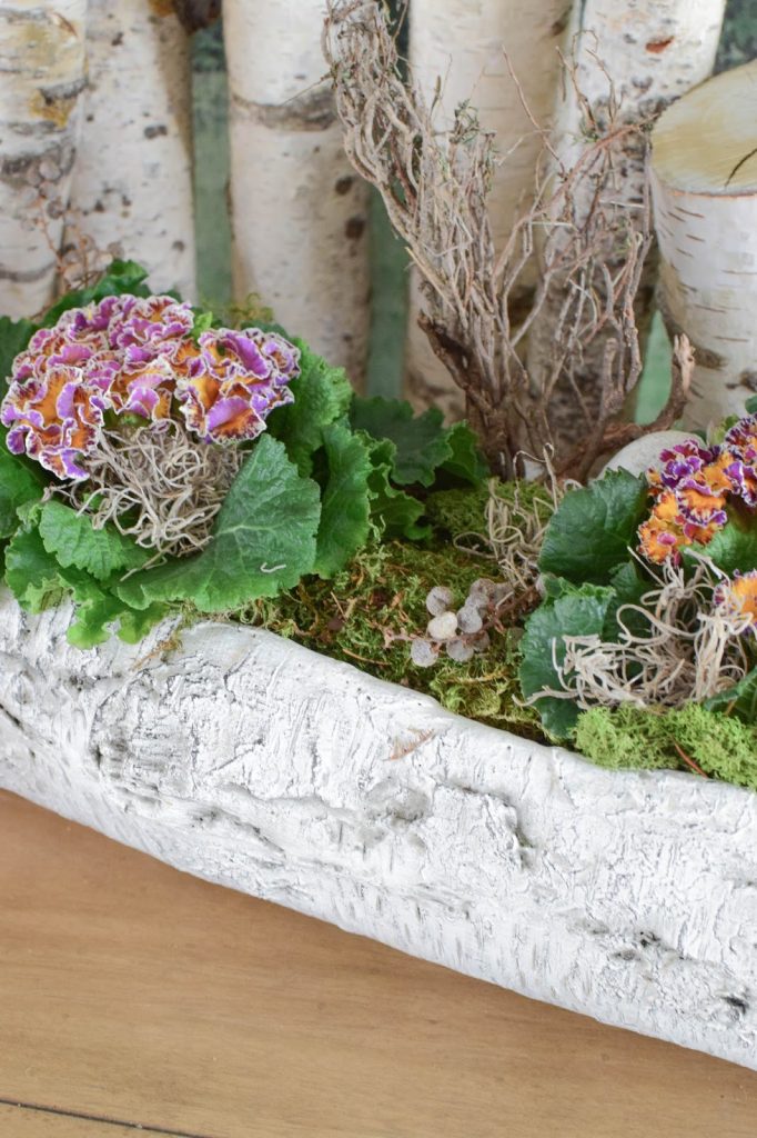 DIY Frühlingsdeko mit Primel und Moos. Natürliche Deko für den Frühling. Dekoidee DIY Frühlingsdeko mit Primel und Moos. Natürliche Deko für den Frühling. Dekoidee