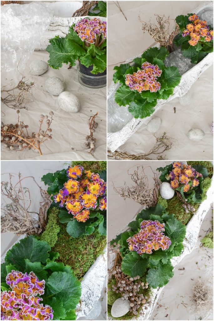 DIY Frühlingsdeko mit Primel und Moos. Natürliche Deko für den Frühling. Dekoidee DIY Frühlingsdeko mit Primel und Moos. Natürliche Deko für den Frühling. Dekoidee