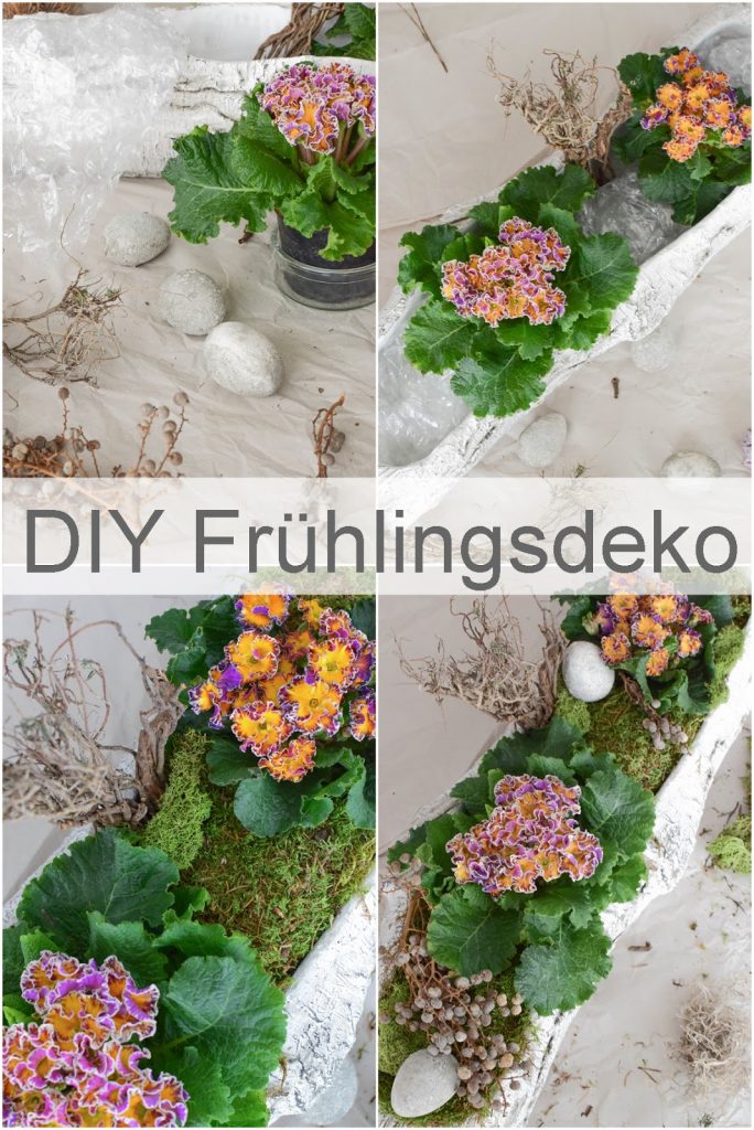 DIY Frühlingsdeko mit Primel und Moos. Natürliche Deko für den Frühling. Dekoidee DIY Frühlingsdeko mit Primel und Moos. Natürliche Deko für den Frühling. Dekoidee