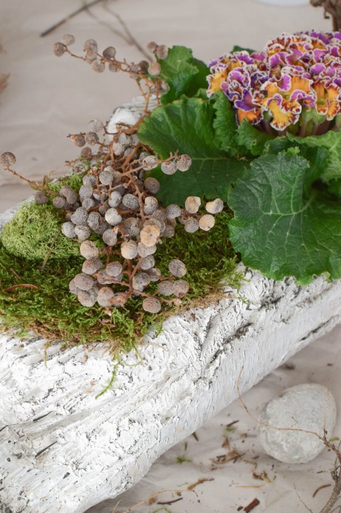 DIY Frühlingsdeko mit Primel und Moos. Natürliche Deko für den Frühling. Dekoidee DIY Frühlingsdeko mit Primel und Moos. Natürliche Deko für den Frühling. Dekoidee