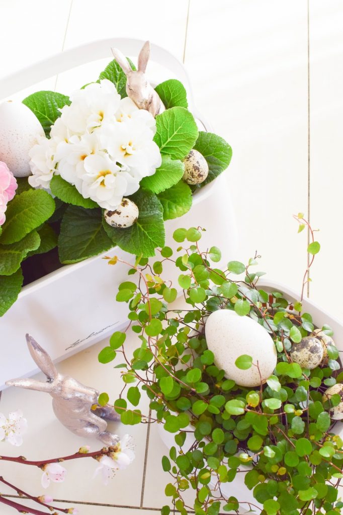Frühlingsdeko und das perfekte Bewässerungssystem für alle Zimmerpflanzen und Küchenkräuter: YULA von Lechuza. DIY Osterkorb. Werbung Frühlingsdeko und das perfekte Bewässerungssystem für alle Zimmerpflanzen und Küchenkräuter: YULA von Lechuza. DIY Osterkorb. Werbung