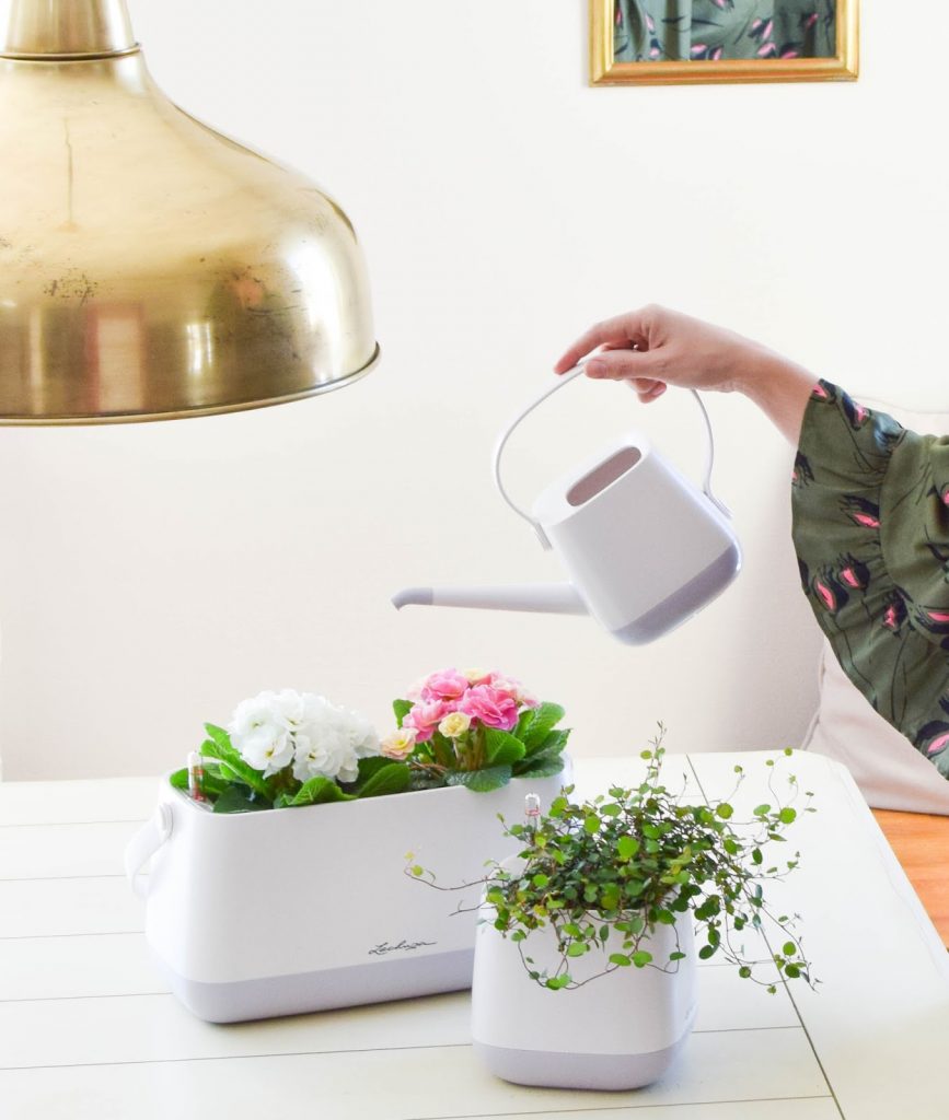 Frühlingsdeko und das perfekte Bewässerungssystem für alle Zimmerpflanzen und Küchenkräuter: YULA von Lechuza. DIY Osterkorb. Werbung