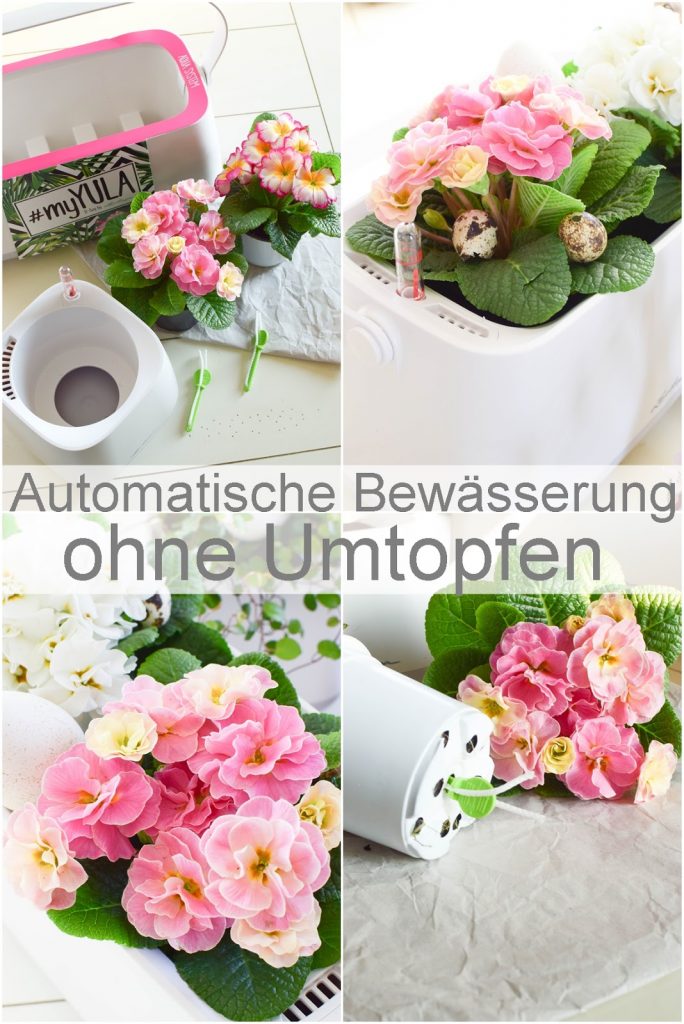 Frühlingsdeko und das perfekte Bewässerungssystem für alle Zimmerpflanzen und Küchenkräuter: YULA von Lechuza. DIY Osterkorb. Werbung Frühlingsdeko und das perfekte Bewässerungssystem für alle Zimmerpflanzen und Küchenkräuter: YULA von Lechuza. DIY Osterkorb. Werbung