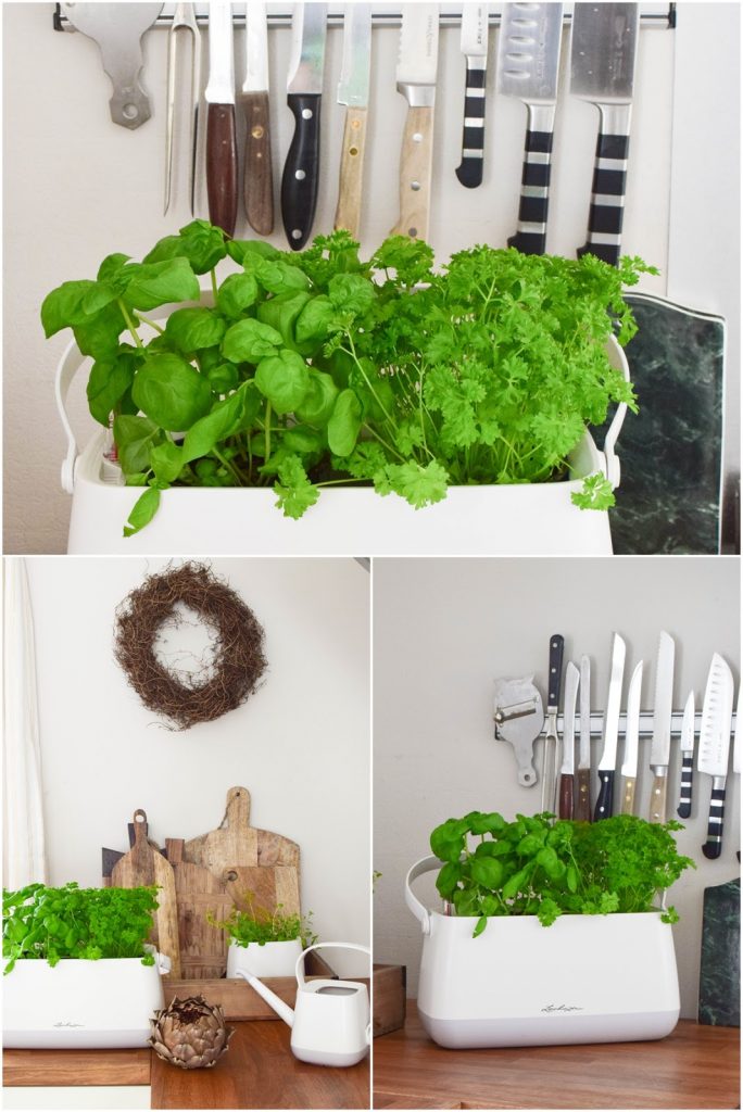 Frühlingsdeko und das perfekte Bewässerungssystem für alle Zimmerpflanzen und Küchenkräuter: YULA von Lechuza. DIY Osterkorb. Werbung Frühlingsdeko und das perfekte Bewässerungssystem für alle Zimmerpflanzen und Küchenkräuter: YULA von Lechuza. DIY Osterkorb. Werbung