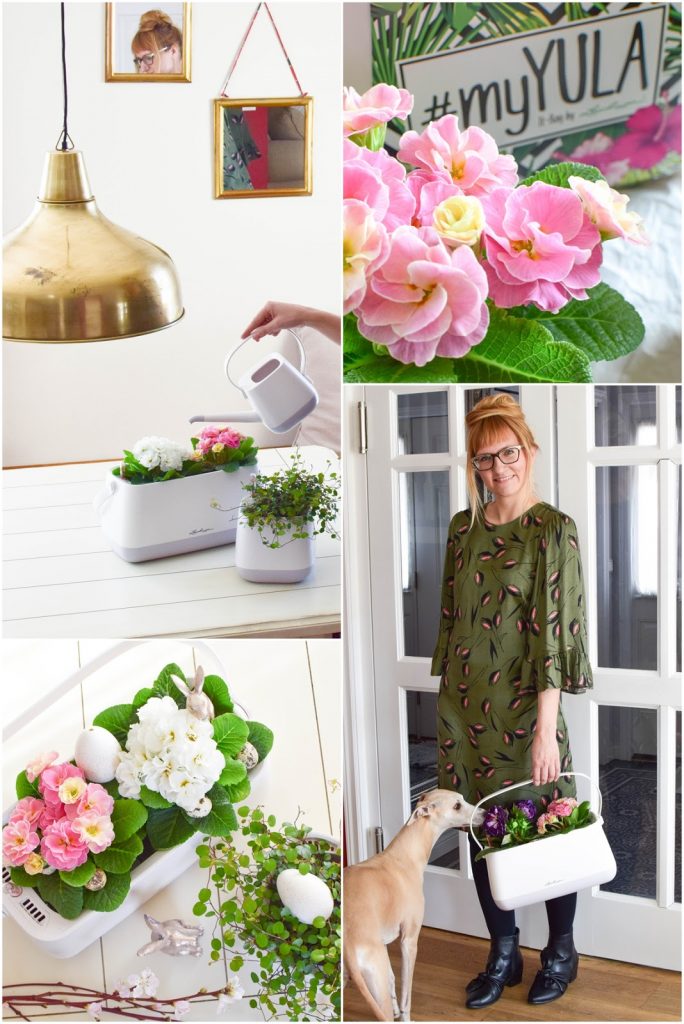 Frühlingsdeko und das perfekte Bewässerungssystem für alle Zimmerpflanzen und Küchenkräuter: YULA von Lechuza. DIY Osterkorb. Werbung Frühlingsdeko und das perfekte Bewässerungssystem für alle Zimmerpflanzen und Küchenkräuter: YULA von Lechuza. DIY Osterkorb. Werbung