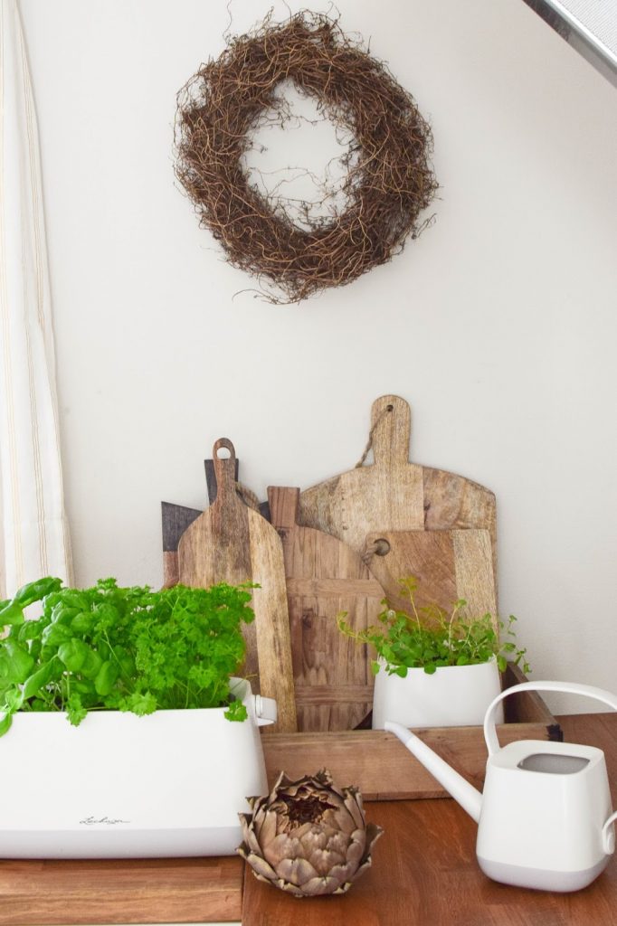Frühlingsdeko und das perfekte Bewässerungssystem für alle Zimmerpflanzen und Küchenkräuter: YULA von Lechuza. DIY Osterkorb. Werbung Frühlingsdeko und das perfekte Bewässerungssystem für alle Zimmerpflanzen und Küchenkräuter: YULA von Lechuza. DIY Osterkorb. Werbung