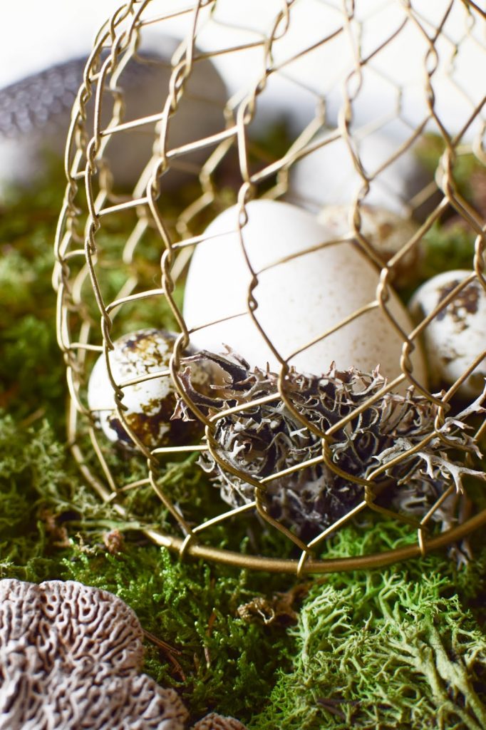 DIY Dekoidee für Ostern: Schale dekorieren mit Wachteleier Osterdeko mit Moos natürlich dekorieren DIY Dekoidee für Ostern: Schale dekorieren mit Wachteleier Osterdeko mit Moos natürlich dekorieren