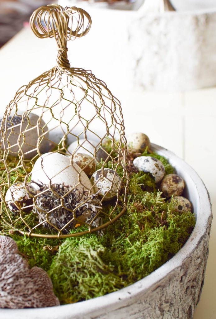DIY Dekoidee für Ostern: Schale dekorieren mit Wachteleier Osterdeko mit Moos natürlich dekorieren DIY Dekoidee für Ostern: Schale dekorieren mit Wachteleier Osterdeko mit Moos natürlich dekorieren