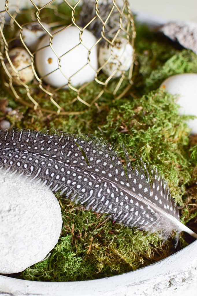 DIY Dekoidee für Ostern: Schale dekorieren mit Wachteleier Osterdeko mit Moos natürlich dekorieren DIY Dekoidee für Ostern: Schale dekorieren mit Wachteleier Osterdeko mit Moos natürlich dekorieren