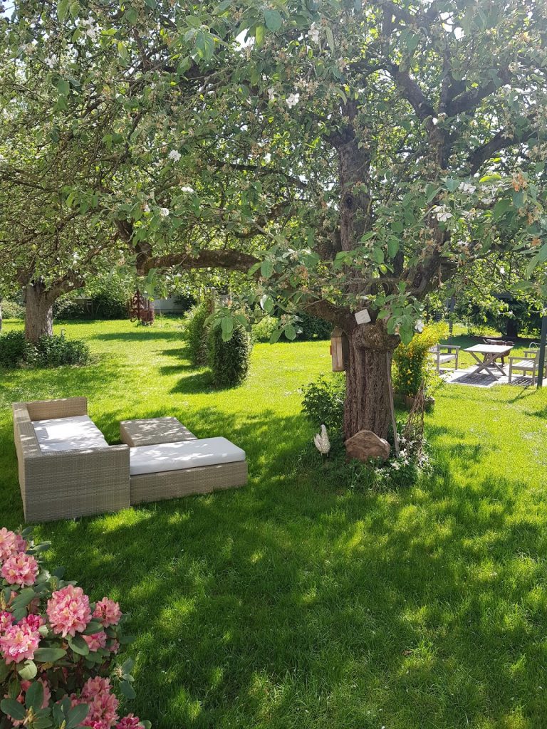 Alte Apfelbäume Obstbäume im Garten. Dekoidee Loungesofa Alte Apfelbäume Obstbäume im Garten. Dekoidee Loungesofa