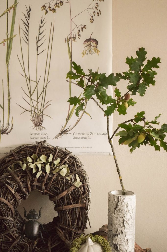 Deko Herbst für Konsole und Sideboard mit Eicheln. Herbstdeko Dekoidee Wohnzimmer Dekoration eiche eicheln botanisch natuerlich dekorieren Deko Herbst für Konsole und Sideboard mit Eicheln. Herbstdeko Dekoidee Wohnzimmer Dekoration eiche eicheln botanisch natuerlich dekorieren
