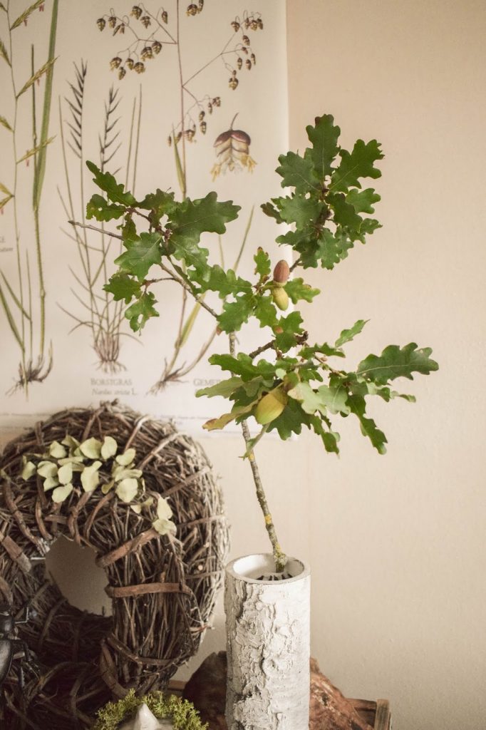 Deko Herbst für Konsole und Sideboard mit Eicheln. Herbstdeko Dekoidee Wohnzimmer Dekoration eiche eicheln botanisch natuerlich dekorieren 3 Deko Herbst für Konsole und Sideboard mit Eicheln. Herbstdeko Dekoidee Wohnzimmer Dekoration eiche eicheln botanisch natuerlich dekorieren 3