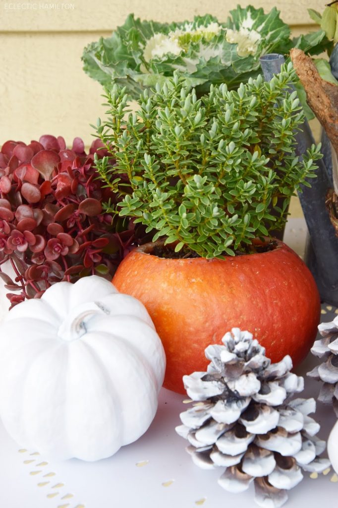 Dekoideen mit Kürbis für den Herbst. Kürbisse natürlich dekorieren. Tischdeko, Tisch dekorieren Herbstdeko, herbstliche Deko, Dekoideen mit Kürbis für den Herbst. Kürbisse natürlich dekorieren. Tischdeko, Tisch dekorieren Herbstdeko, herbstliche Deko,