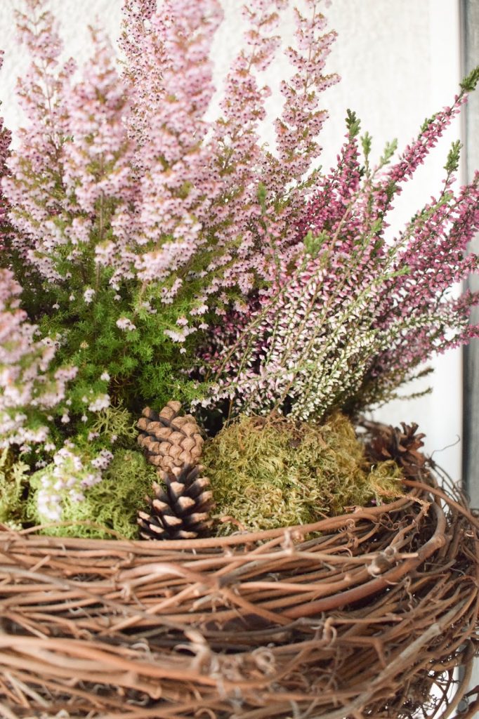 DIY Deko für Herbst und Winter: natürlich mit Moos, Erika, Heidekraut, Zapfen dekorieren. Dekoidee Haustüre Konsole Sideboard DIY Deko für Herbst und Winter: natürlich mit Moos, Erika, Heidekraut, Zapfen dekorieren. Dekoidee Haustüre Konsole Sideboard