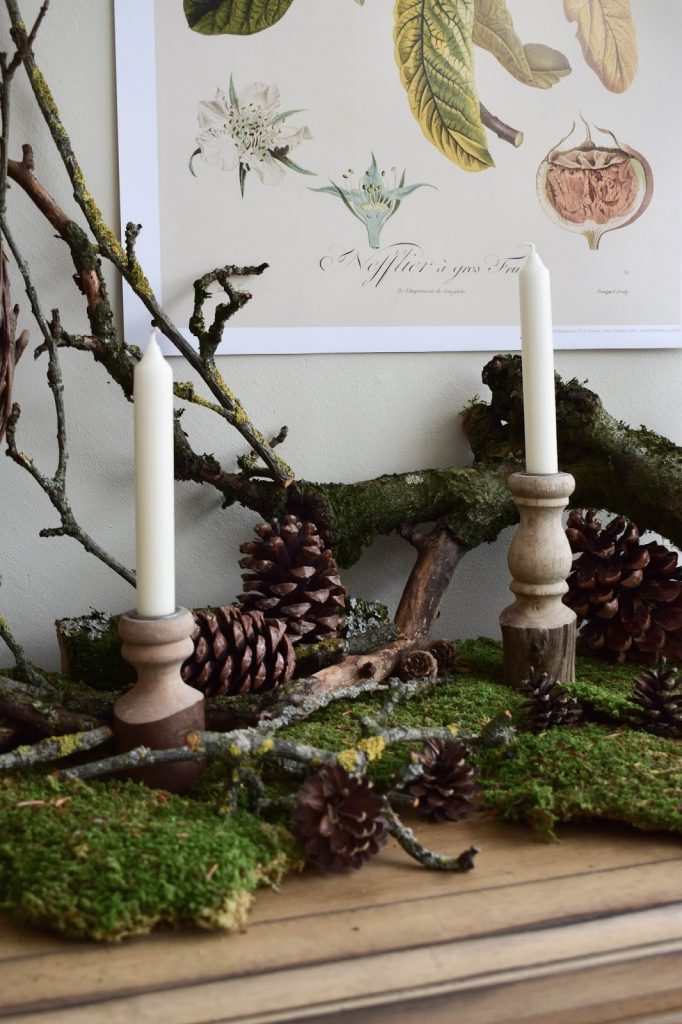 Kalender 2019 mit botanischen Zeichnungen Drucke Poster Deko Dekoidee Wanddeko von DUMONT teNeues Naturdeko mit Moos Ästen Kalender 2019 mit botanischen Zeichnungen Drucke Poster Deko Dekoidee Wanddeko von DUMONT teNeues Naturdeko mit Moos Ästen