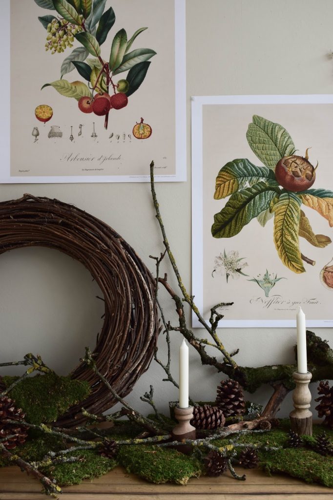 Naturdeko mit Moos Ästen Kranz Zapfen Kalender 2019 mit botanischen Zeichnungen Drucke Poster Deko Dekoidee Wanddeko von DUMONT teNeues Naturdeko mit Moos Ästen Kranz Zapfen Kalender 2019 mit botanischen Zeichnungen Drucke Poster Deko Dekoidee Wanddeko von DUMONT teNeues