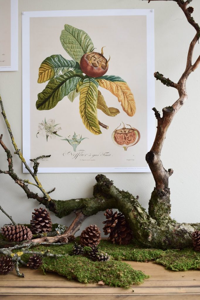 Naturdeko mit Moos Ästen Kranz Zapfen Kalender 2019 mit botanischen Zeichnungen Drucke Poster Deko Dekoidee Wanddeko von DUMONT teNeues Naturdeko mit Moos Ästen Kranz Zapfen Kalender 2019 mit botanischen Zeichnungen Drucke Poster Deko Dekoidee Wanddeko von DUMONT teNeues